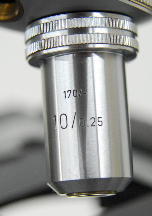 Used Ernst Leitz SM-LUX Binocular Microscope W/ 10x Objective