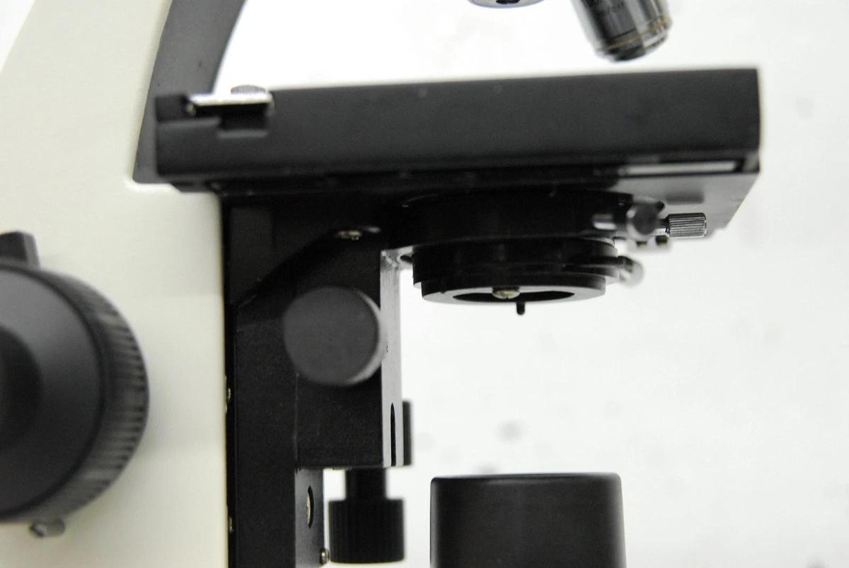 Used VWR Vistavision Compound Microscope W/ SP 4x/10x/40x/100x Objectives