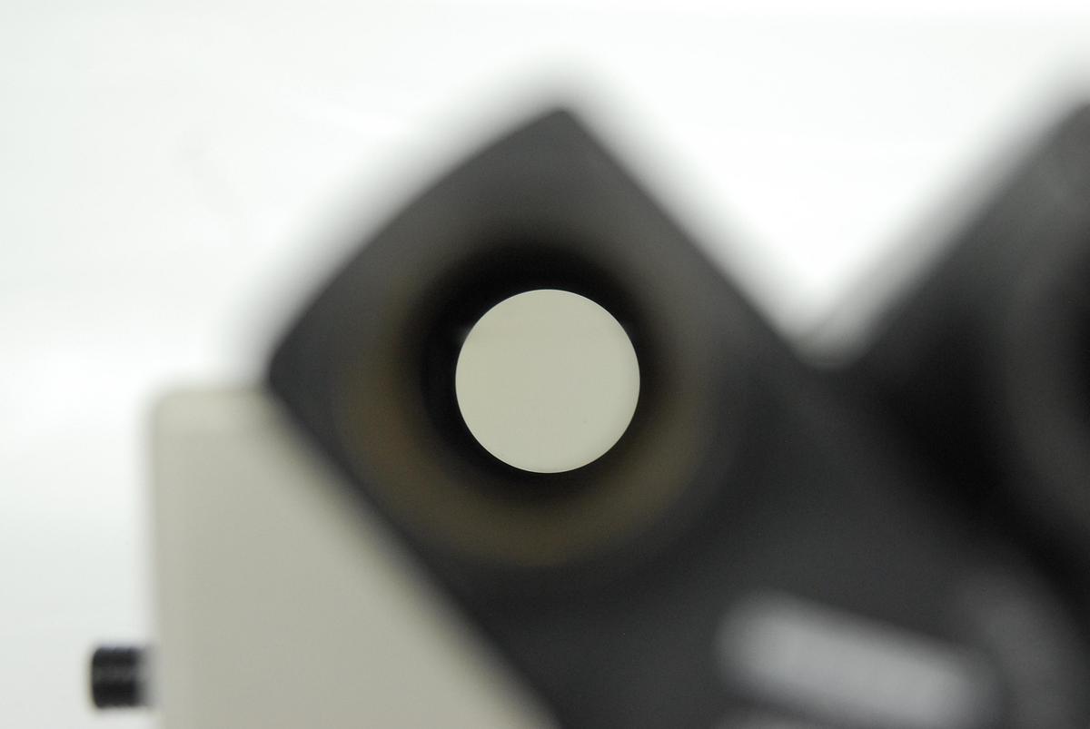 Used Nikon T Trinocular Microscope Head (Labophot, Optiphot)