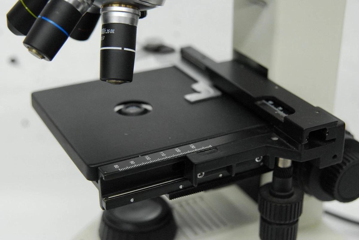 Used Wesco Lab VU 4200 Binocular Microscope W/ 4/10/40/100x SP-Achro Objectives