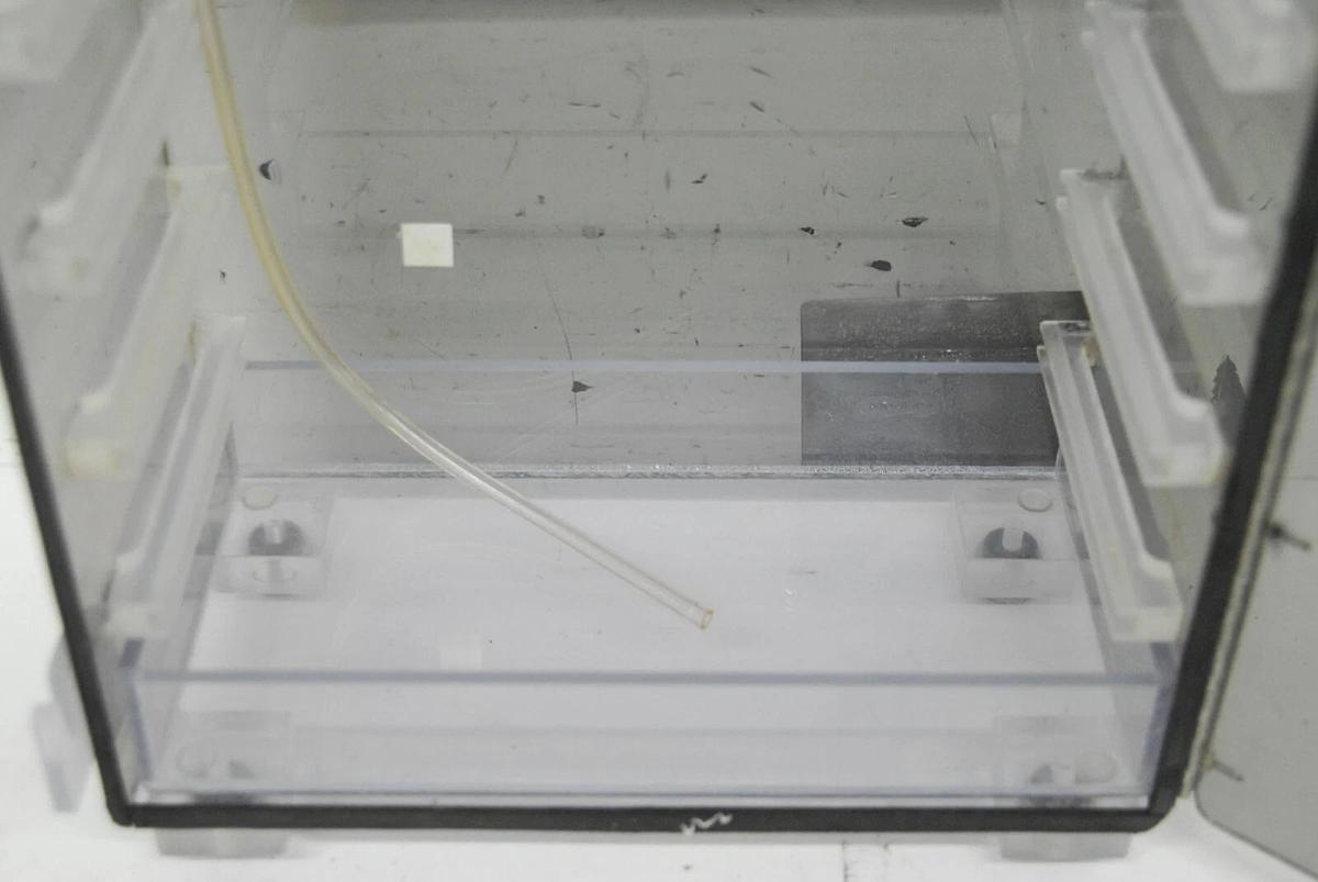 Used COY 100 Humidified Incubation Box (16"x12"x6")