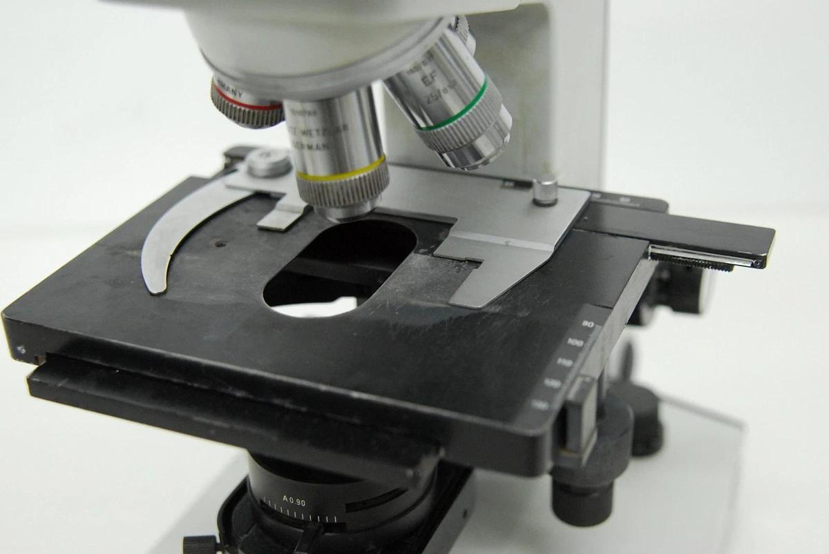 Used Leitz Laborlux D 512795 Binocular Microscope W/ EF 4/10/25/40 Objectives