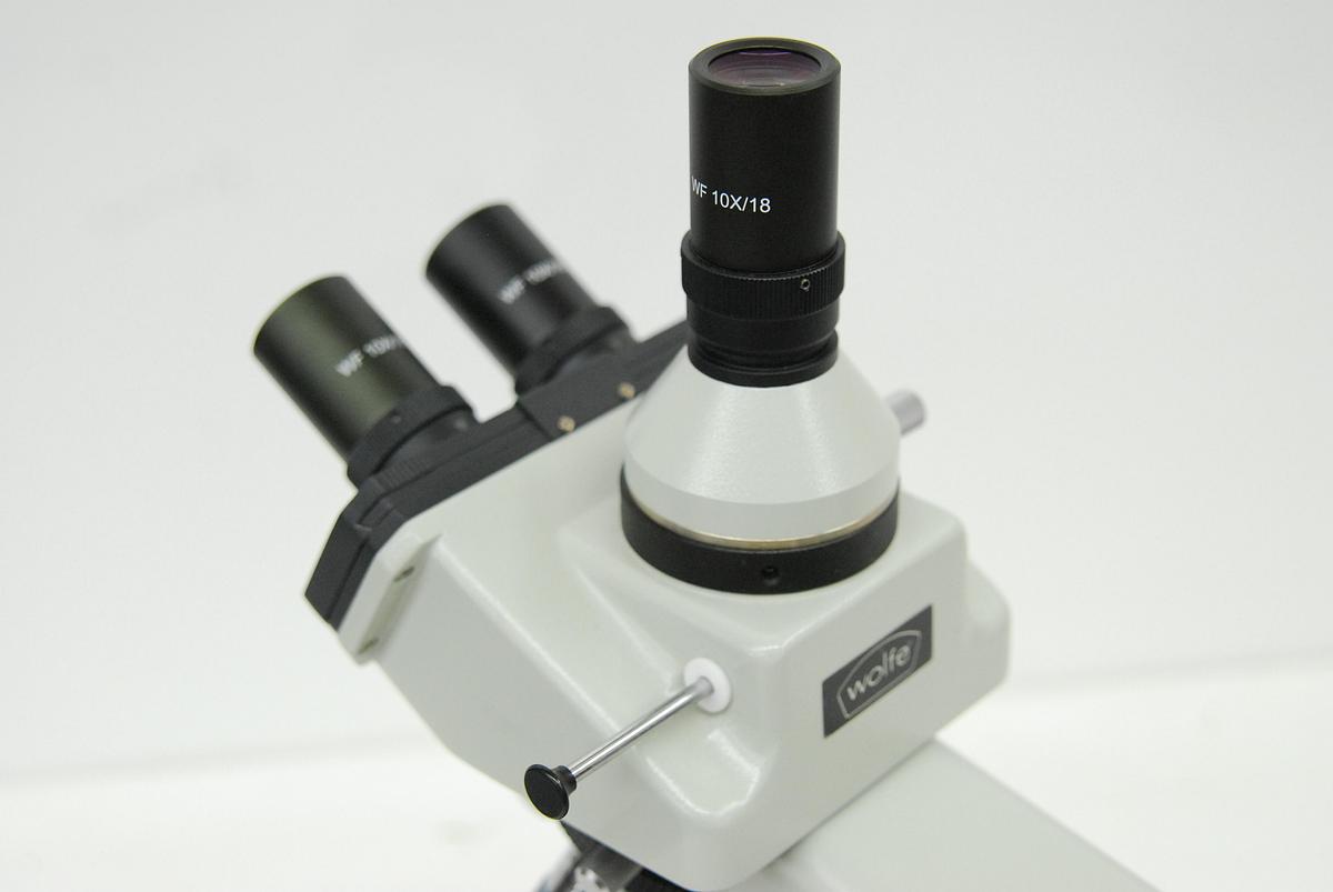 Used Wolfe B1-223 Trinocular Microscope W/ 4/10/40/100x Objectives