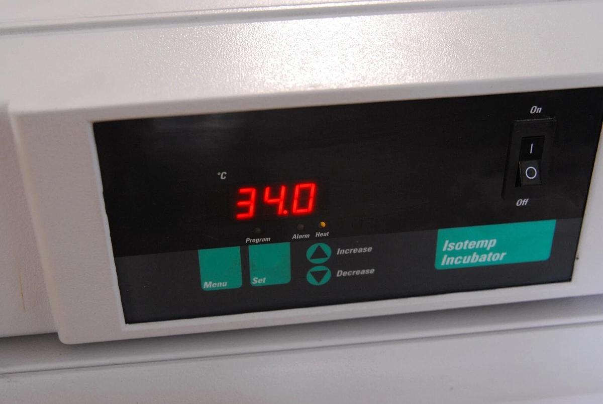 Used Fisher Scientific I600D 11-690-625D 625D Isotemp Incubator