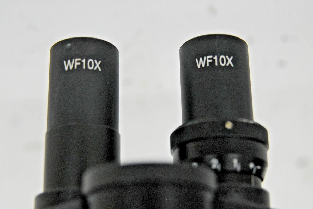 Used VWR Vistavision Compound Microscope W/ SP 4x/10x/40x/100x Objectives