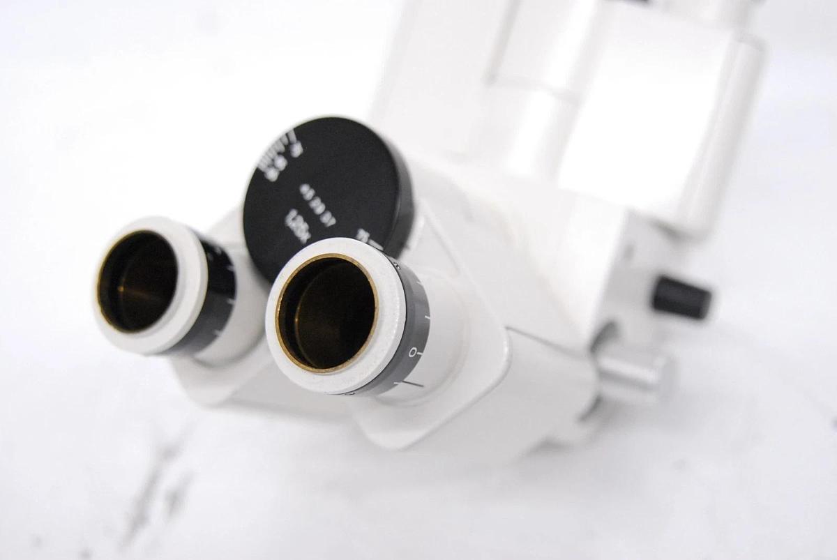 Used Zeiss 45 29 37 Dual Observation Tube LED Pointer Microscope Head W/ Power Supply