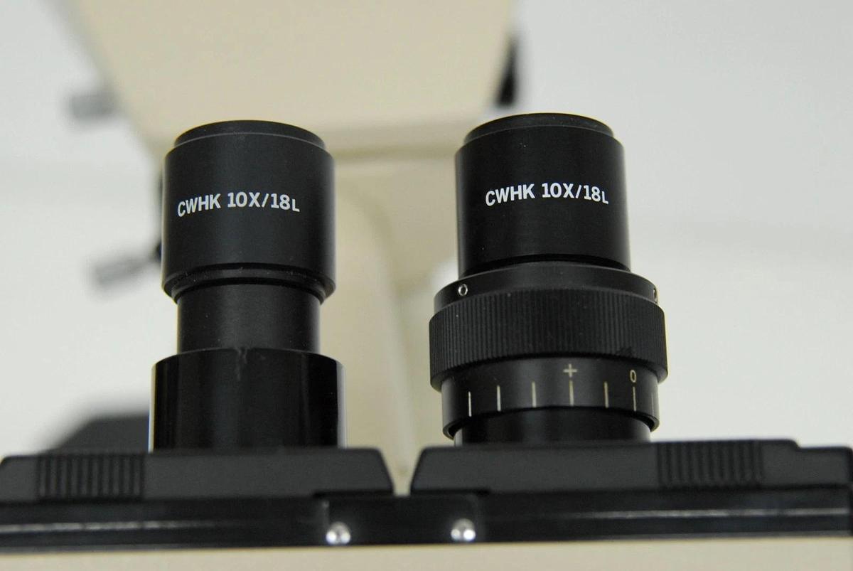 Used Olympus BH-2 BHUT Dual Viewing Teaching Microscope W/ D Plan Objectives