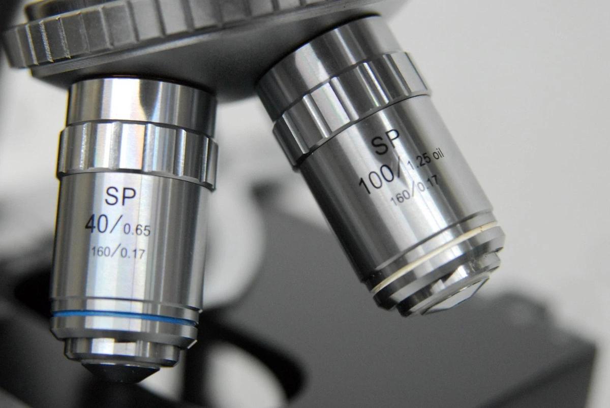 Used VWR Vistavision Compound Microscope W/ SP 4x/10x/40x/100x Objectives