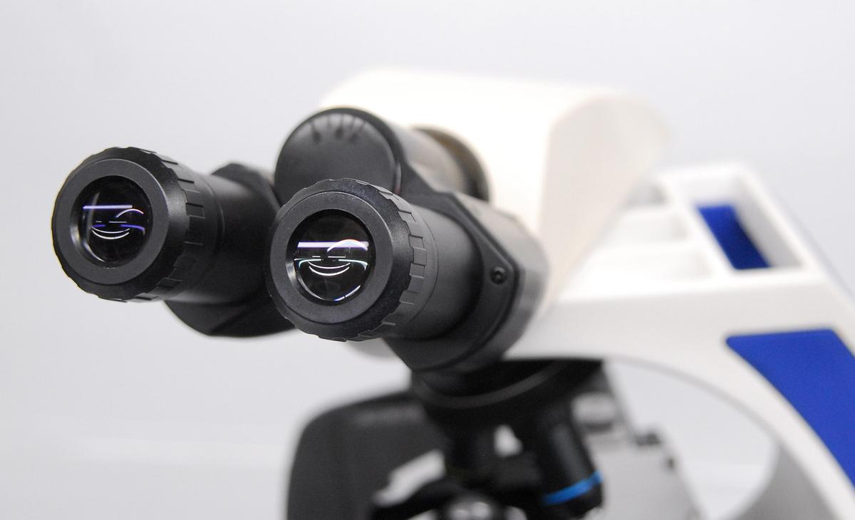 Used Walter Binocular Compound Microscope 4/10/40x Objectives - AmScope T720 Style