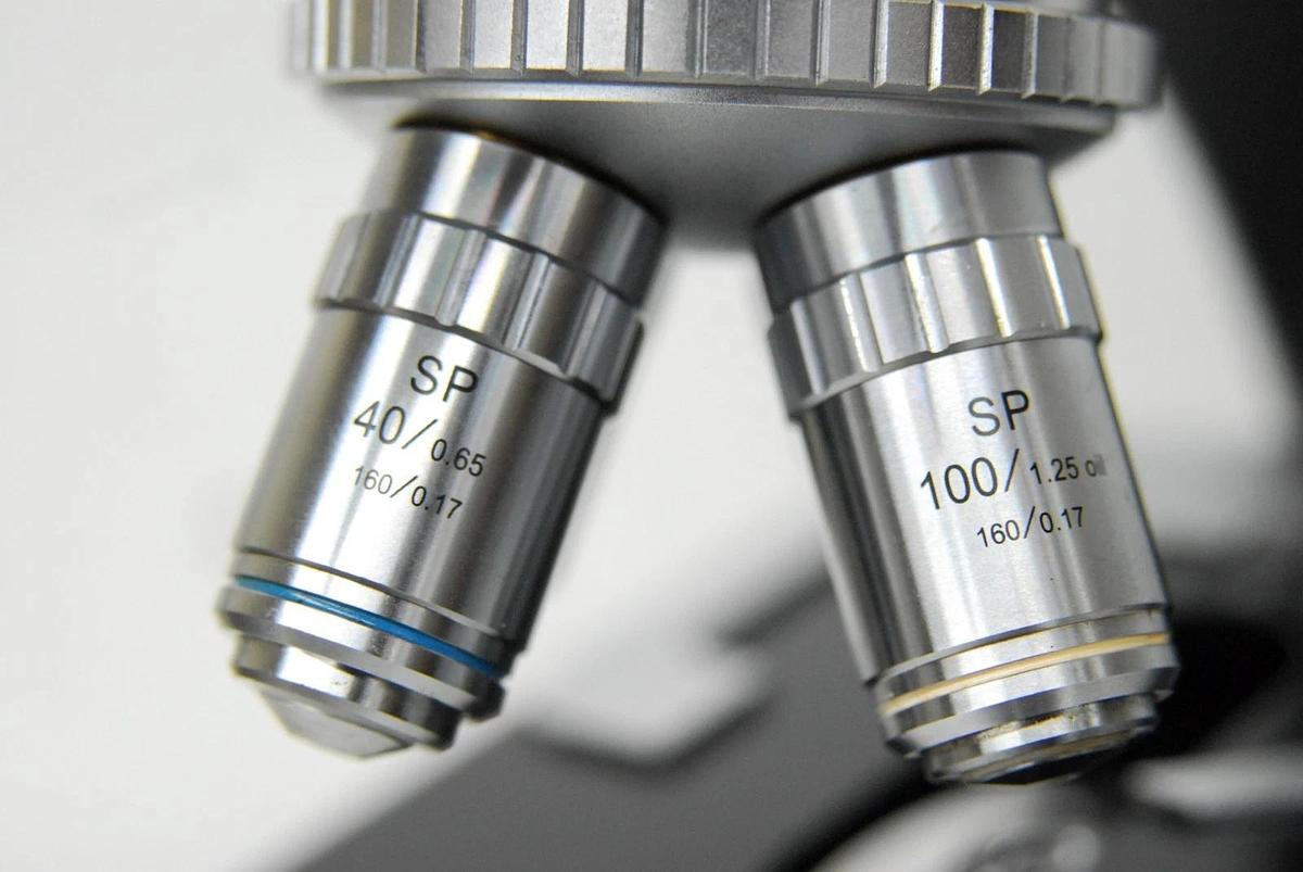 Used VWR Vistavision Compound Microscope W/ SP 4x/10x/40x/100x Objectives