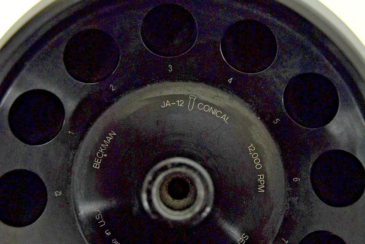 Used Beckman JA-12 Conical Fixed Angle Centrifuge Rotor (12 x 50 mL, 12,000 rpm)