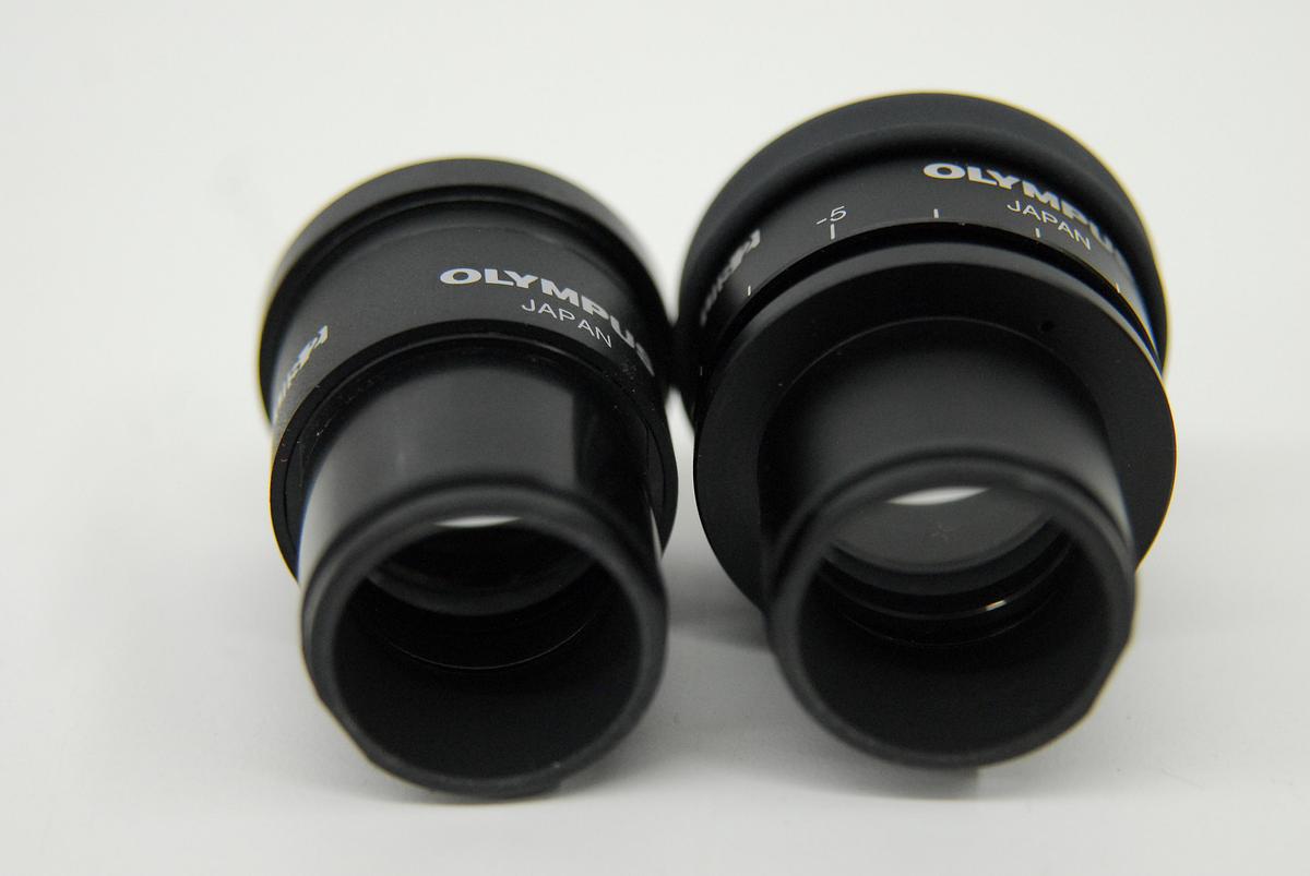 Used Olympus WHN10X-H/22 WHN10X/22 Microscope Eyepiece Set