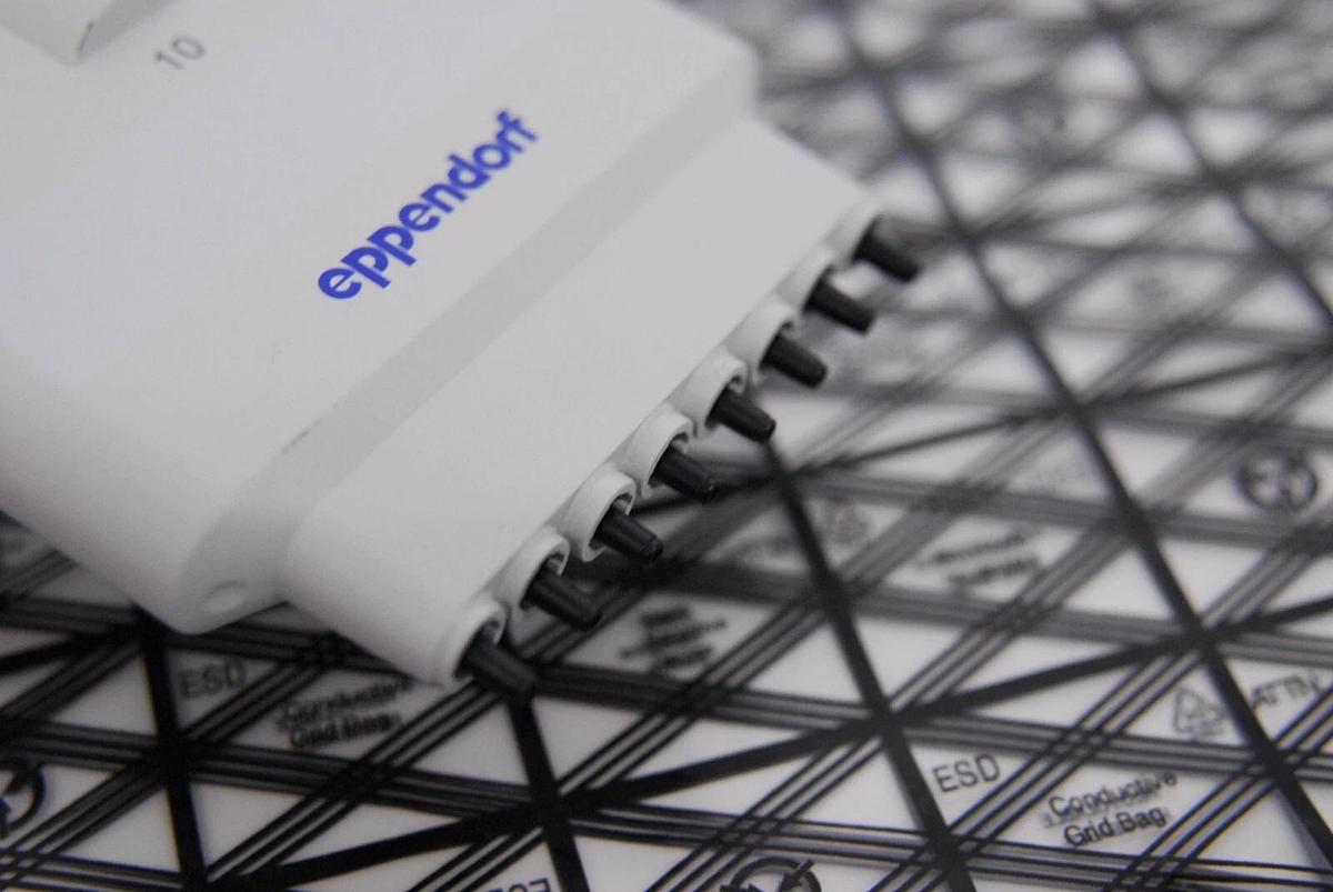 Used Eppendorf Research 10 0.5-10µL 8-Channel Manual Pipette