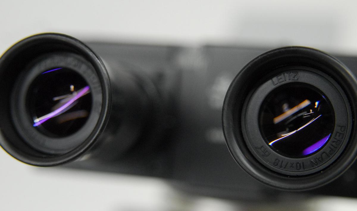 Used Ernst Leitz SM-LUX Binocular Microscope W/ 10x Objective