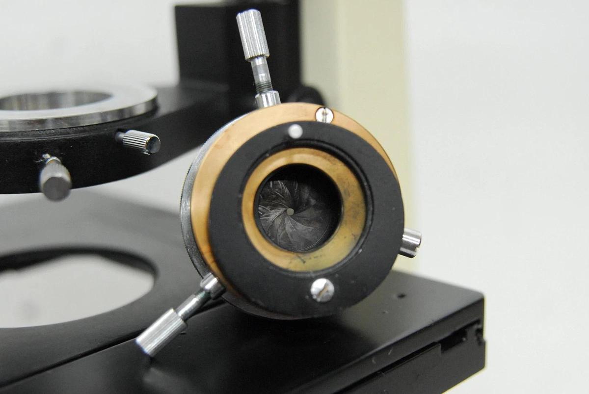 Used VWR VistaVision Inverted Trinocular Microscope W/ 10x, 25x PL L Objectives