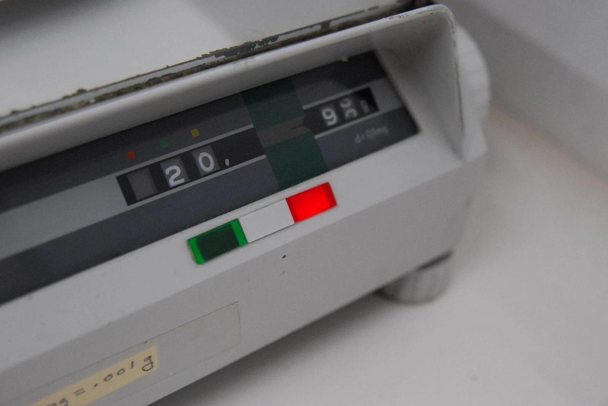 Used Sartorius 2462 Analytical Balance 200g - Read Description