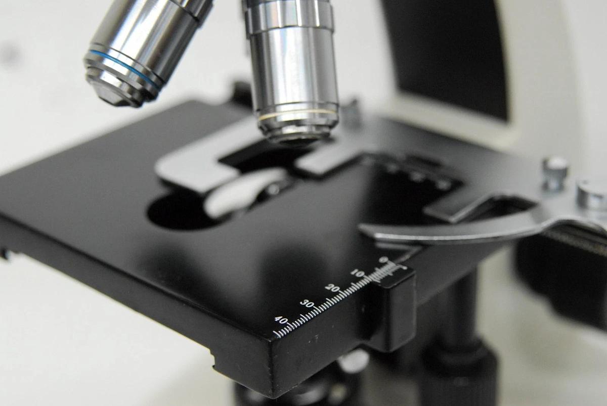 Used VWR Vistavision Compound Microscope W/ SP 4x/10x/40x/100x Objectives