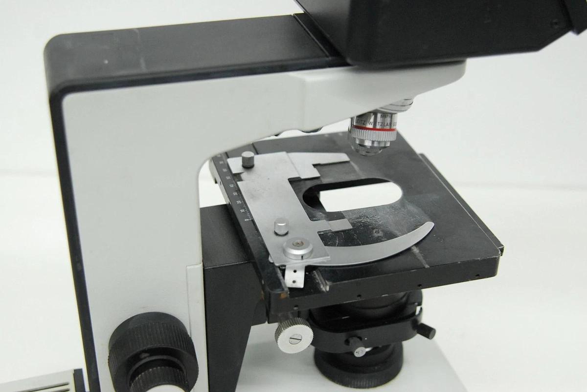 Used Leitz Laborlux D 512795 Binocular Microscope W/ EF 4/10/25/40 Objectives