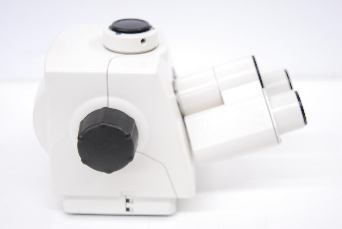 Used Zeiss 1104-296 Ergo-Phototube Height Adjustment Trinocular Microscope Head