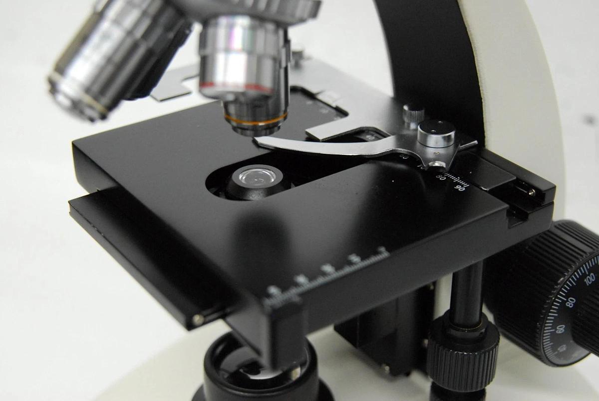 Used VWR Vistavision Compound Microscope W/ SP 4x/10x/40x/100x Objectives