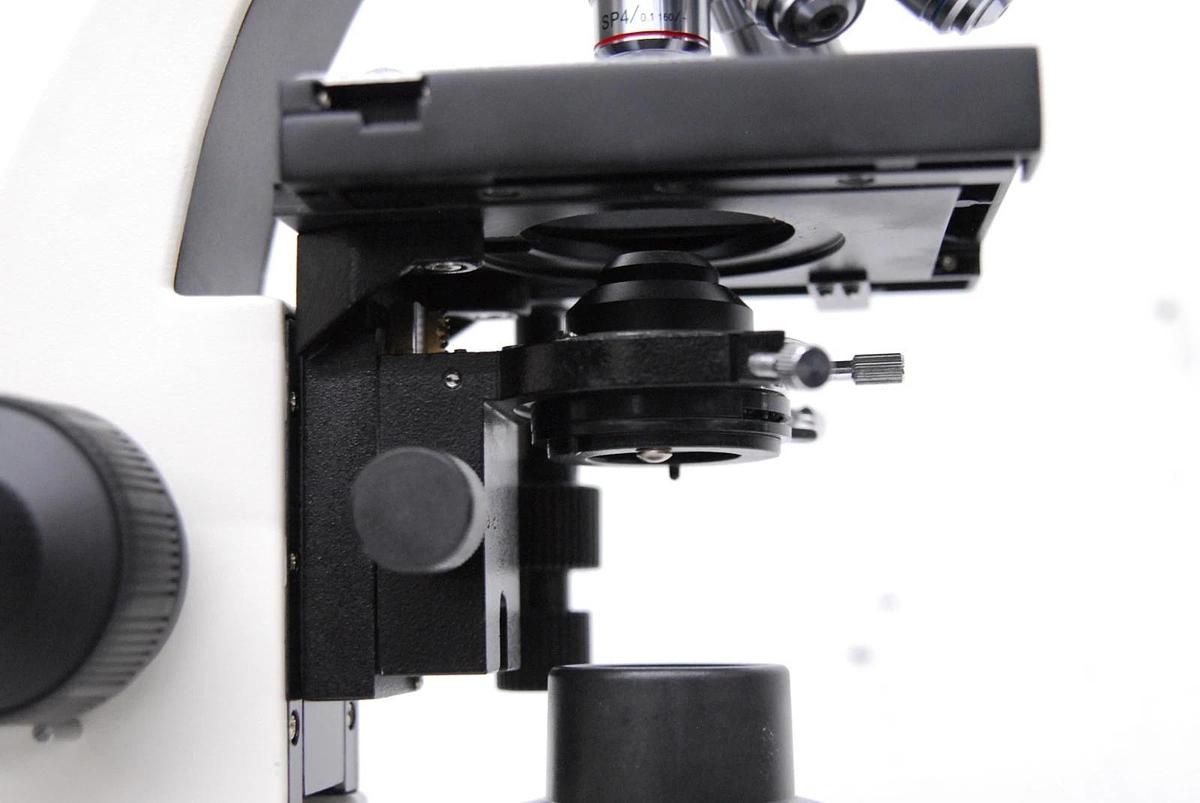 Used VWR Vistavision Compound Microscope W/ SP 4x/10x/40x/100x Objectives