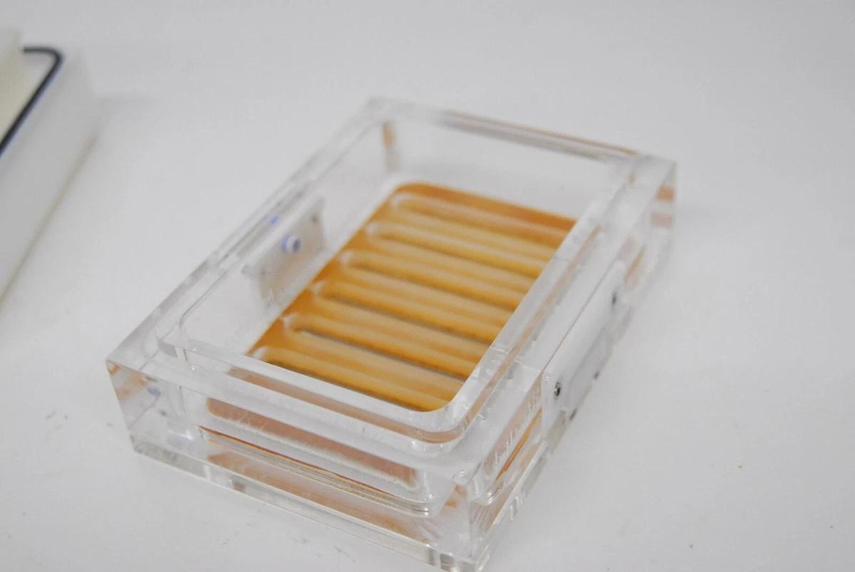 Used QIAGEN QIAvac Manifold-6S Catalog #19503 Vacuum Manifold