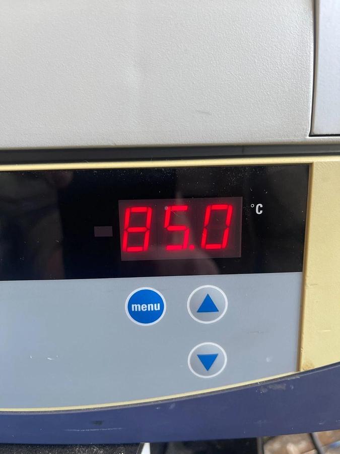 Used Fisher Scientific 13-247-10 Isotemp Rotisserie Incubator 85C 120V - TESTED