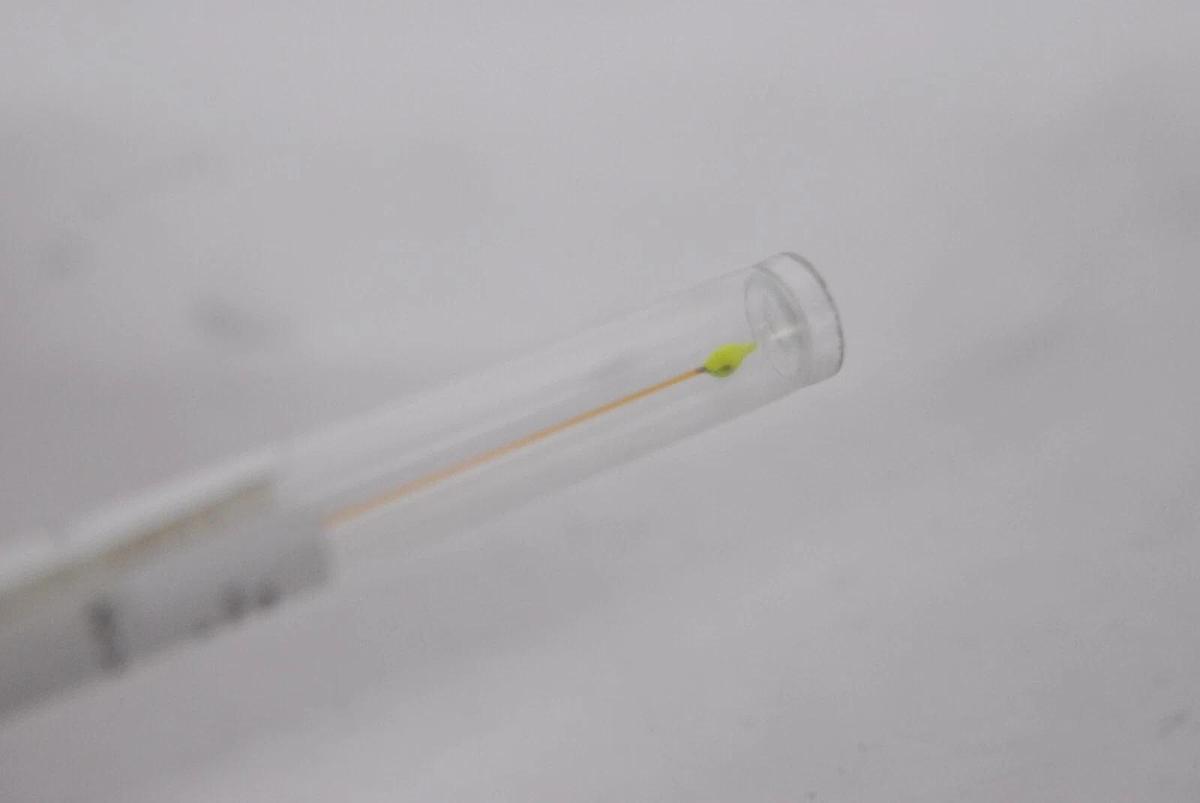 Used Applied Biosystems 401928 Sensitivity Standard Analyzer Capillary