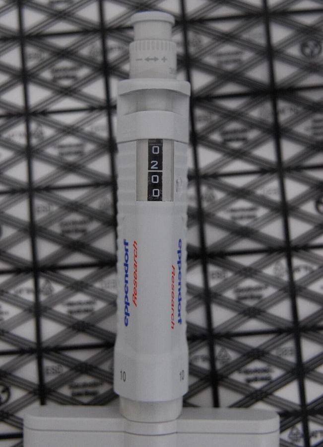 Used Eppendorf Research 10 0.5-10µL 8-Channel Manual Pipette