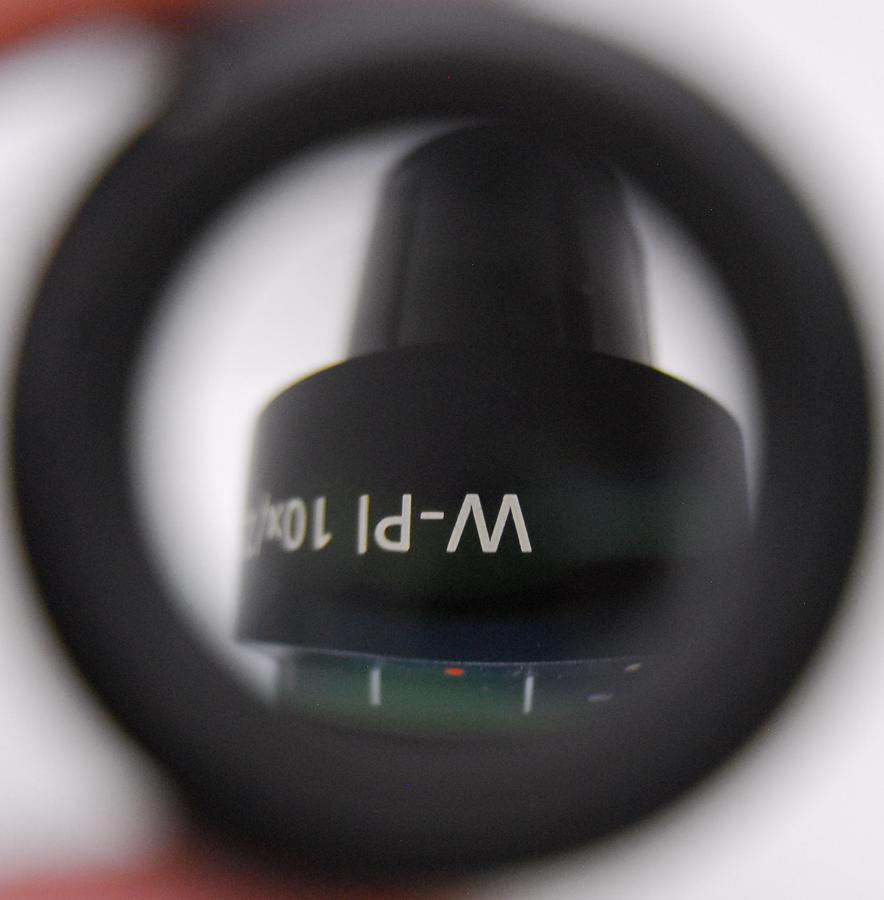 Used Zeiss 45 50 43 W-Pl 10x/23 Microscope Eyepiece Set