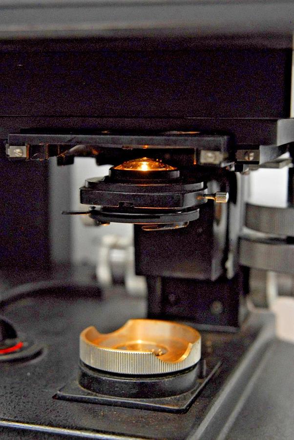 Used Bausch & Lomb High Power Stereoviewer Comparison Microscope