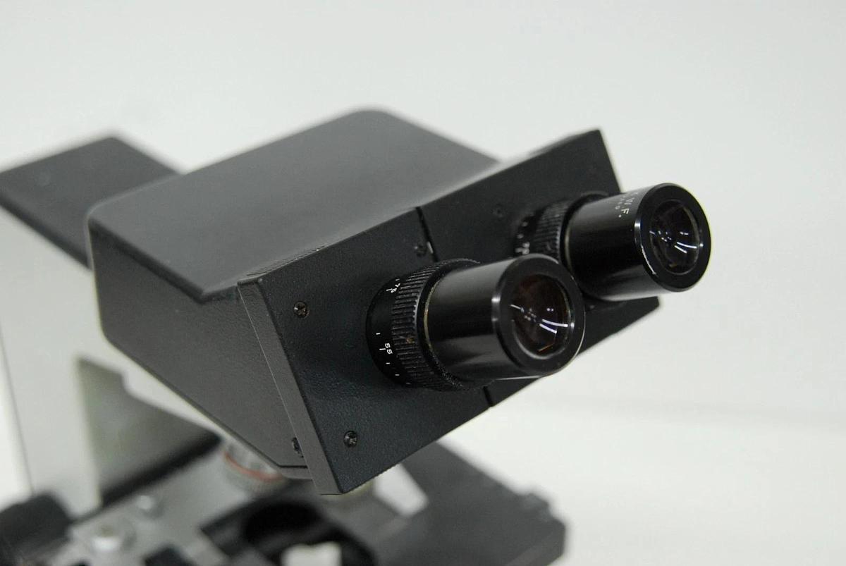 Used Leitz Laborlux D 512795 Binocular Microscope W/ EF 4/10/25/40 Objectives