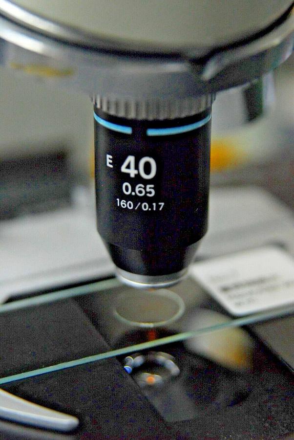Used Nikon E 40 Objective (E 40 0.65 160/0.17)