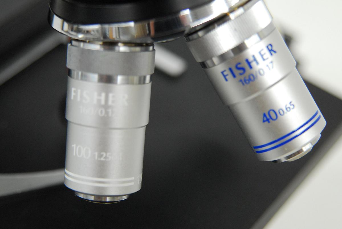 Used Fisher Scientific Micromaster Model E Microscope W/ 4/10/40/100x Objectives