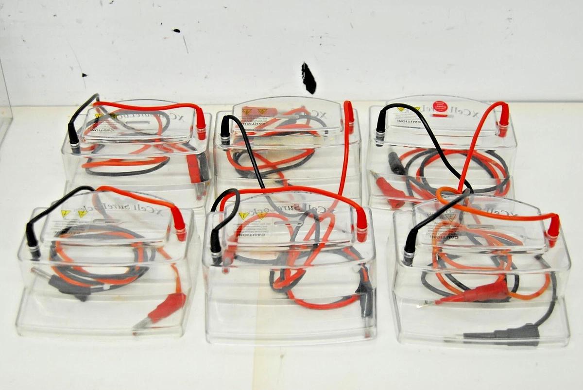 Used Invitrogen XCell SureLock Mini-Cell Electrophoresis System - EI0001 *Lot*