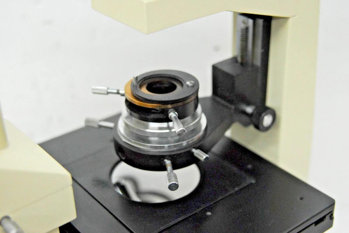 Used VWR VistaVision Inverted Trinocular Microscope W/ 10x, 25x PL L Objectives
