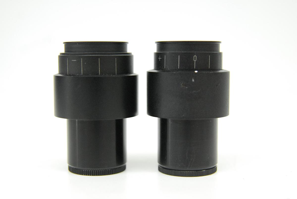 Used Motic WF PL 10X/20 Eyepiece Set (30MM)