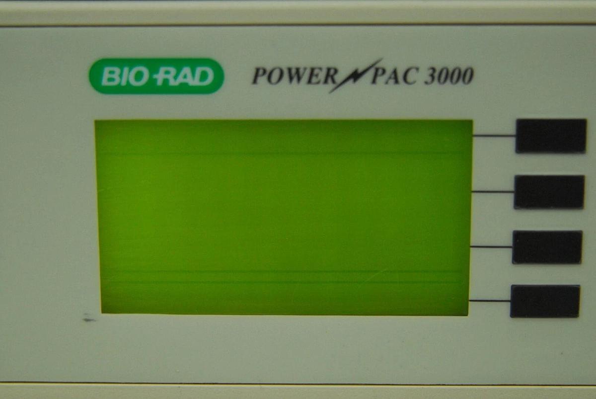 Used BIO-RAD Power Pac 3000 Electrophoresis Power Supply  (165-5056) - Lot of 2