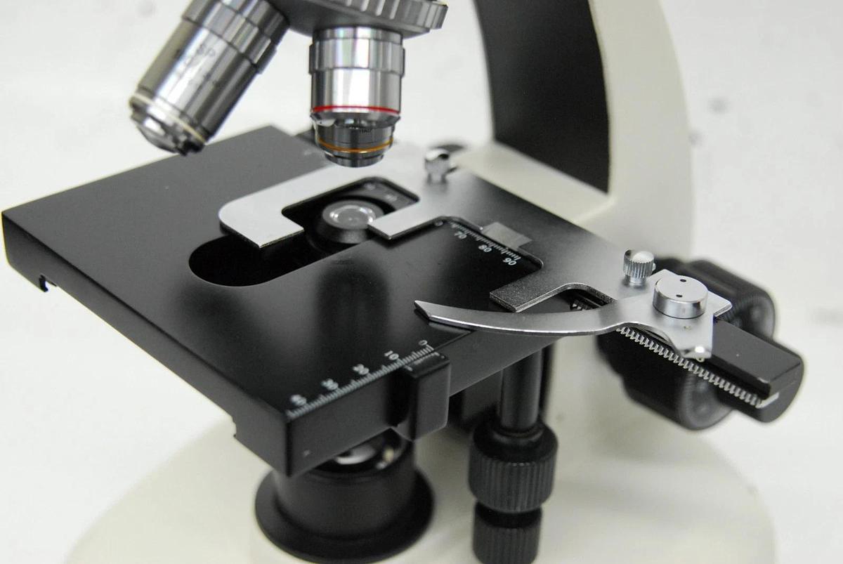 Used VWR Vistavision Compound Microscope W/ SP 4x/10x/40x/100x Objectives