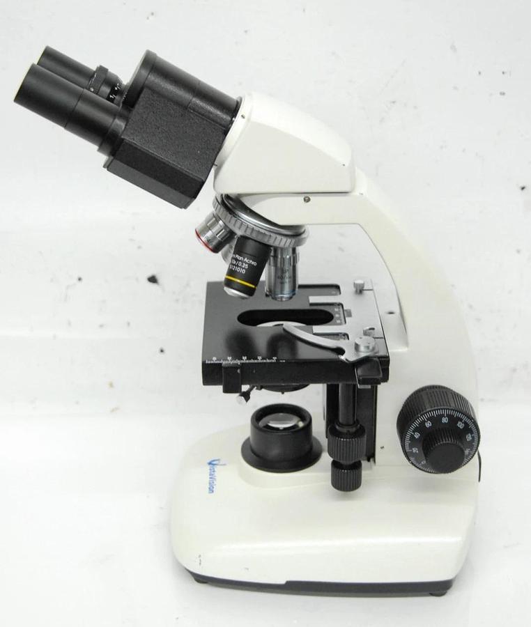 Used VWR Vistavision Compound Microscope W/ SP 4x/10x/40x/100x Objectives