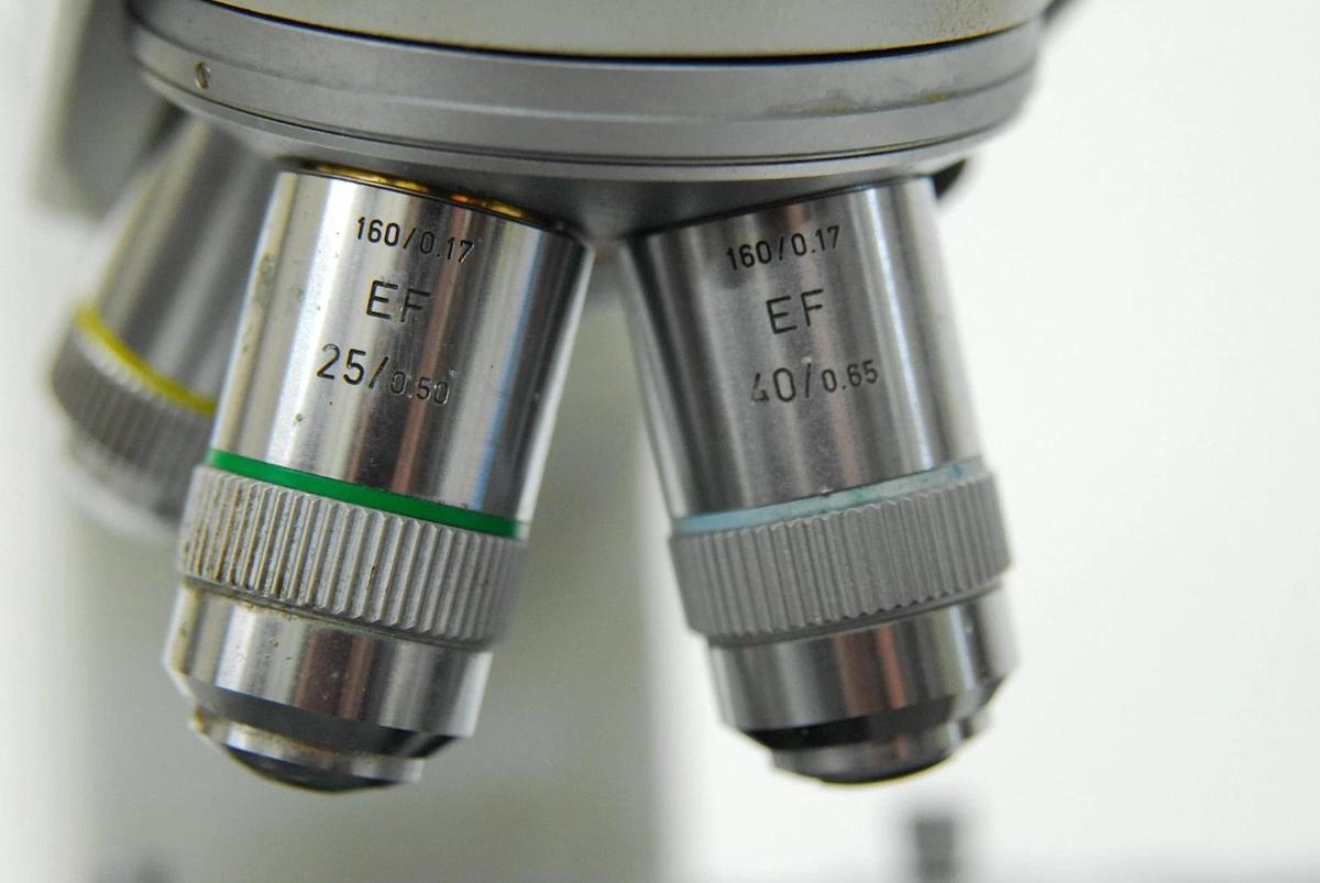 Used Leitz Laborlux D 512795 Binocular Microscope W/ EF 4/10/25/40 Objectives