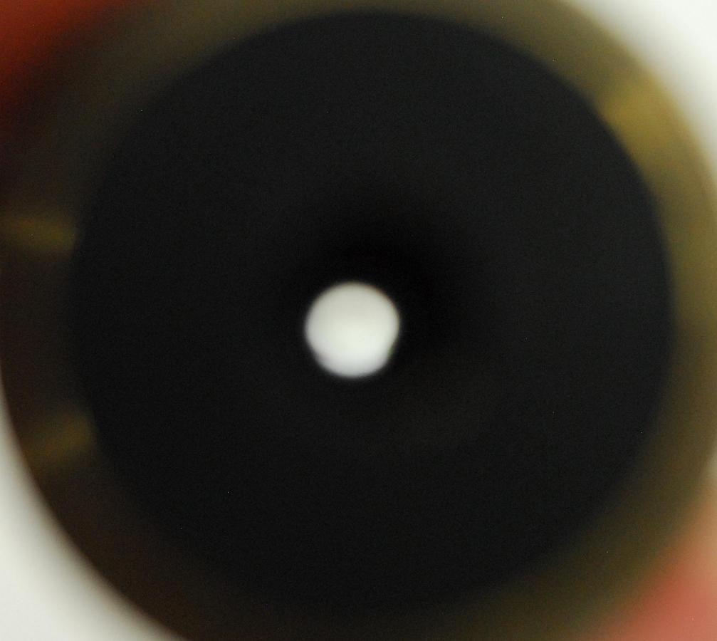 Used Nikon Plan Fluor 100X/1.30 Oil DIC H/N2 ∞/0.17 WD 0.20 Microscope Objective