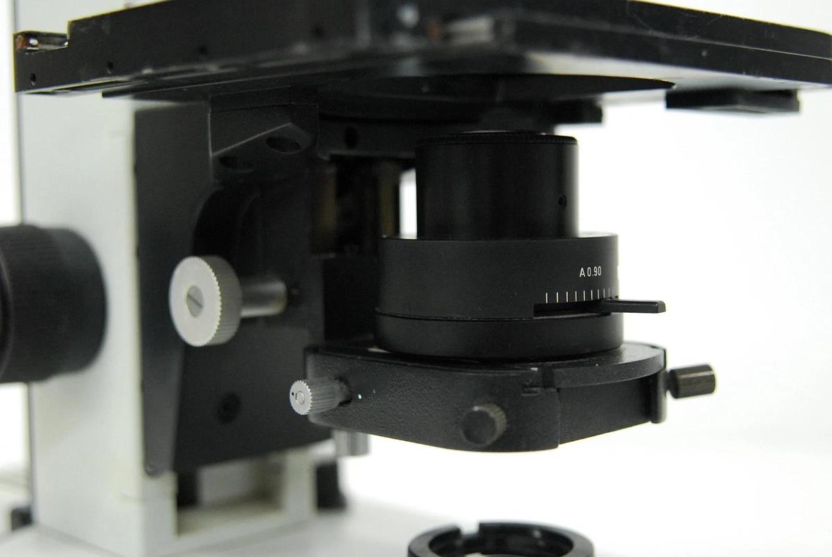 Used Leitz Laborlux D 512795 Binocular Microscope W/ EF 4/10/25/40 Objectives