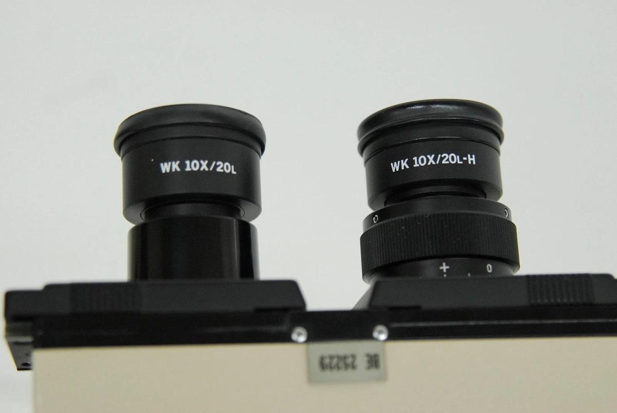 Used Olympus BH-2 BHUT Dual Viewing Teaching Microscope W/ D Plan Objectives