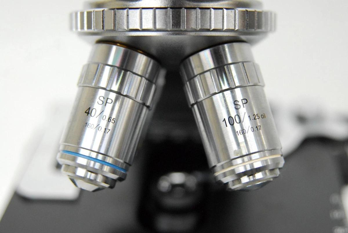 Used VWR Vistavision Compound Microscope W/ SP 4x/10x/40x/100x Objectives