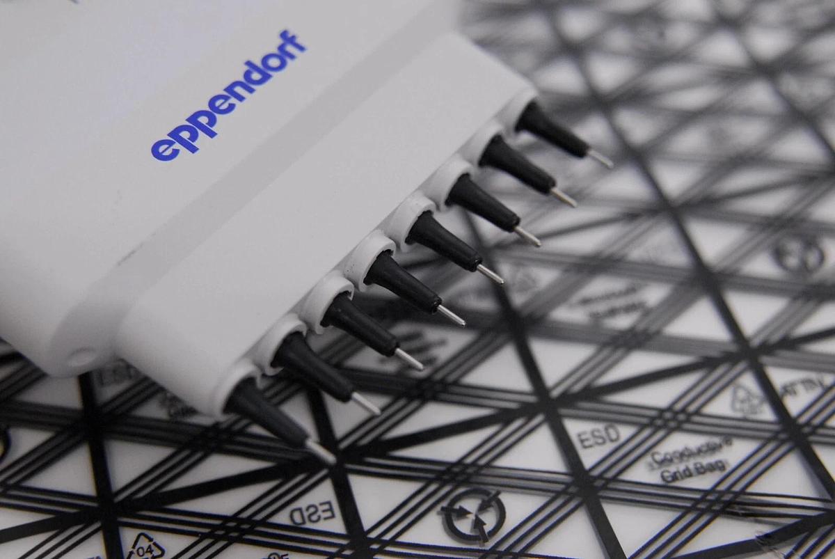 Used Eppendorf Research 10 0.5-10µL 8-Channel Manual Pipette