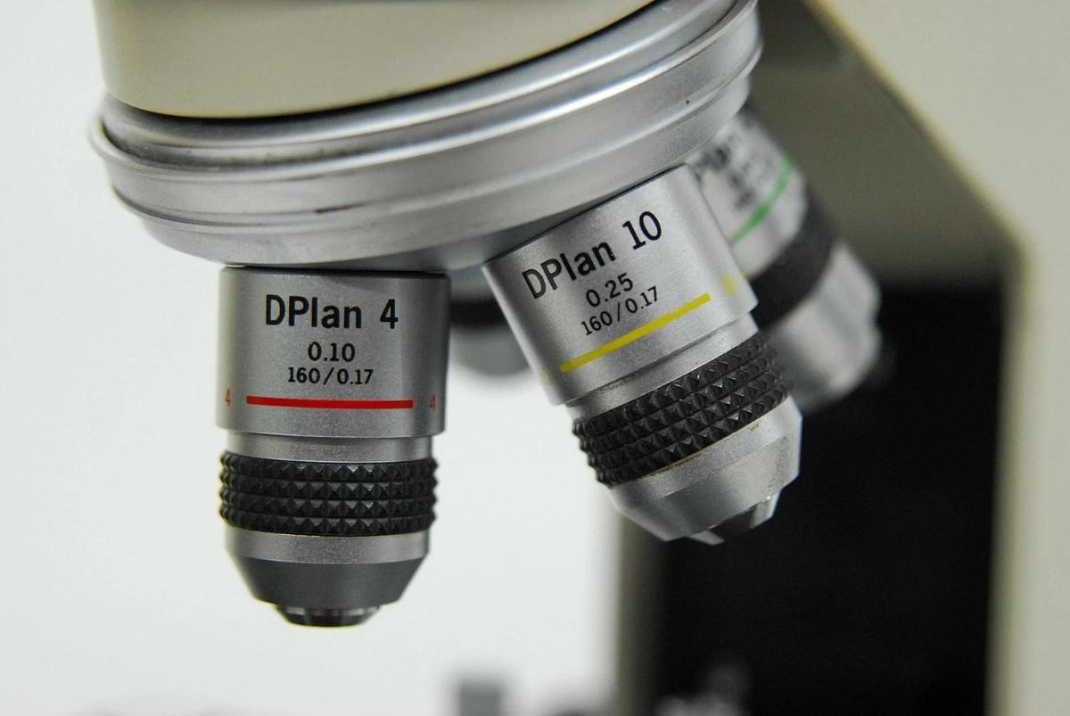 Used Olympus BH-2 BHUT Dual Viewing Teaching Microscope W/ D Plan Objectives