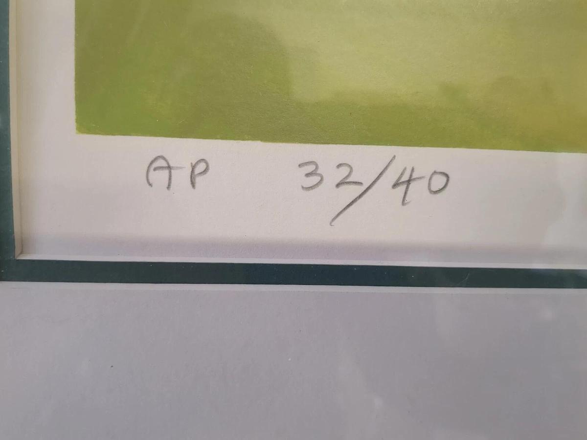 Used John Asaro "Warming Up" Artist Proof Signed Numbered Framed, Ballet