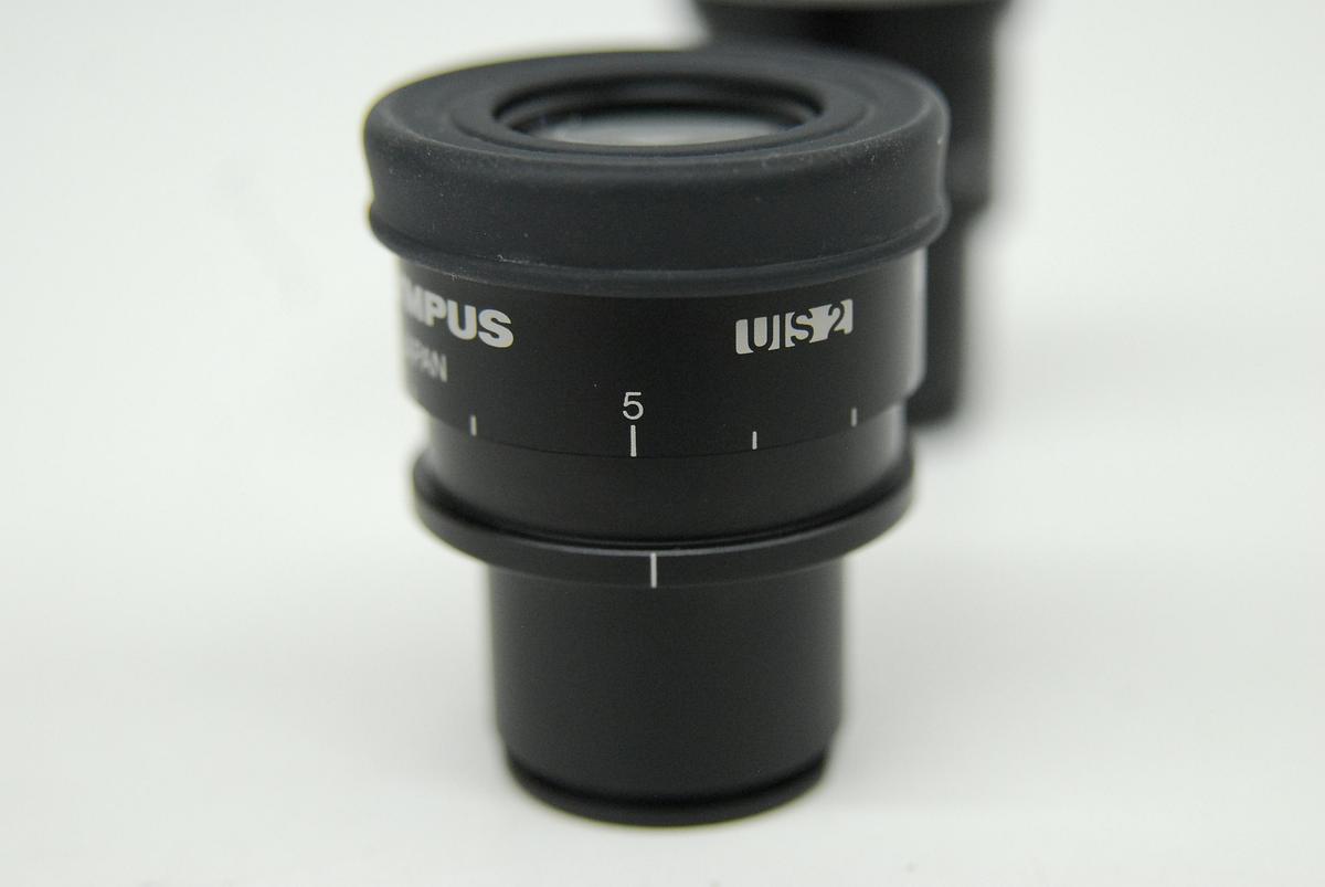 Used Olympus WHN10X-H/22 WHN10X/22 Microscope Eyepiece Set