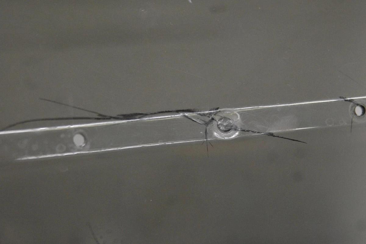 Used Fisher Scientific 15-460-10 ISOTEMP 110 Water Bath - TESTED